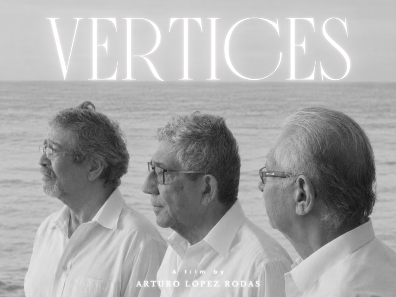 VERTICES conquers the United&nbsp;States!!